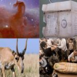 سال ۲۰۲۳ سالی متلاطم و از آغاز تا پایان