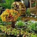 جای خالی را با درخت پر کنيد