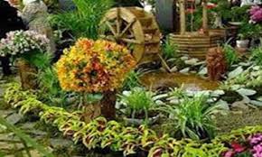 جای خالی را با درخت پر کنيد